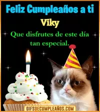 Gato meme Feliz Cumpleaños Viky